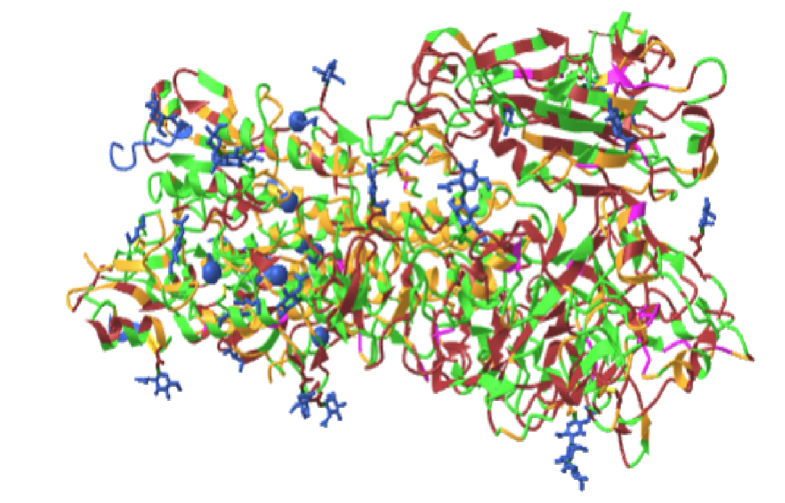 Ribbon diagram showing the structural alignment of hHO-2 (cyan) with